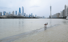 自行车赛事热度增长趋势图羽毛球直播赛事直播免费观看羽毛球战术技术教案全册